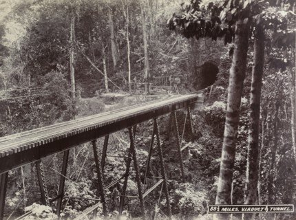 Railway viaduct and tunnel, Jamaica
