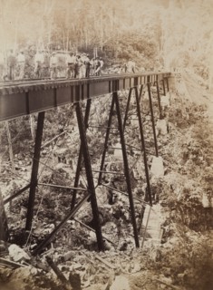 Railway viaduct, Jamaica
