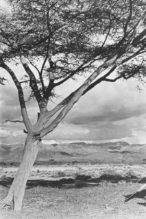 Kamasia mountain range, Rift Valley