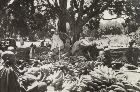 Plantain stall at Karatina market