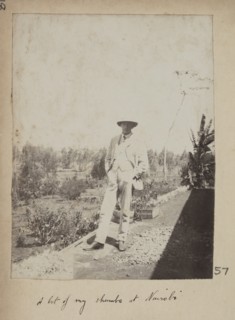 Kenyan shamba