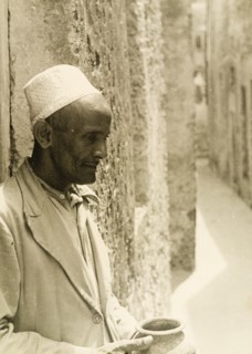 Profile shot of an Arab coppersmith