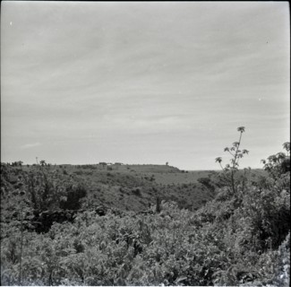 [Obogun?] looking along escarpment