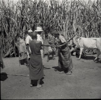 Blessing by elder