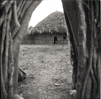 Cattle gateway