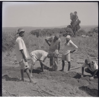 Digging the foundations