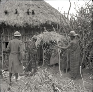 Erecting roof of small house