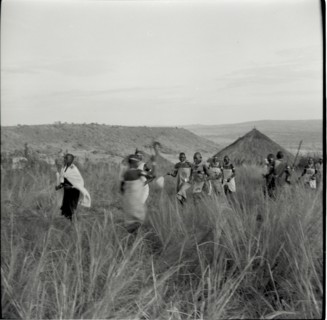 Female circumcision