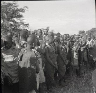 Female circumcision