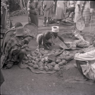 Food of age-set