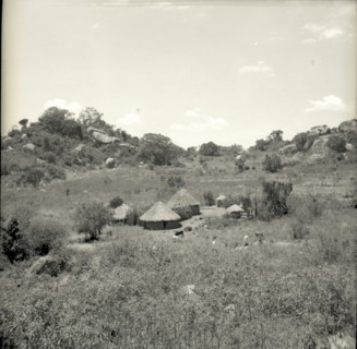 Homestead