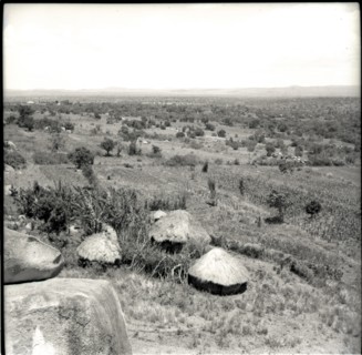 Homestead
