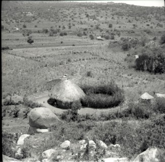Homestead