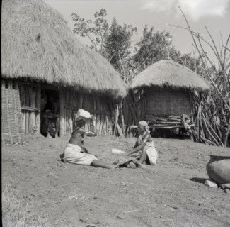 Isubo: Sisters threshing