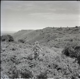 Looking along escarpment