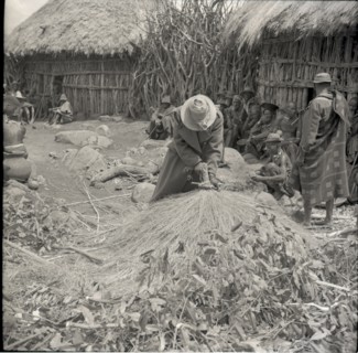 Making roof of small house