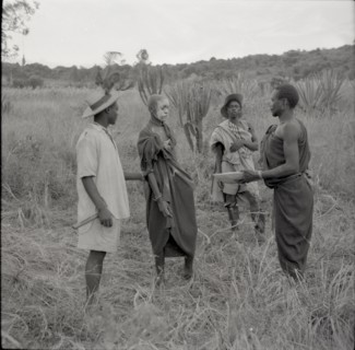 Male circumcision