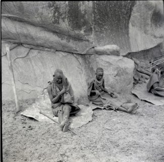 Masai kraal
