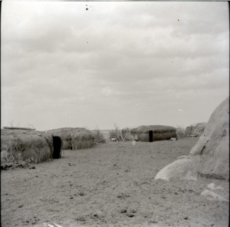 Masai kraal