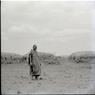 Masai kraal