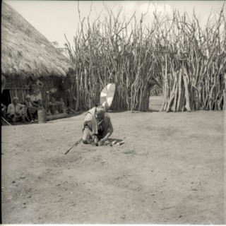 Planting wood in centre of homestead