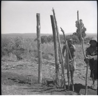 Putting in first poles