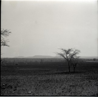 Serengheti plains and very distant animals