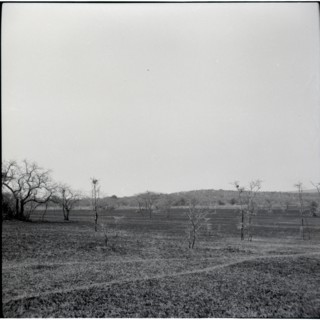 Serengheti plains and very distant animals