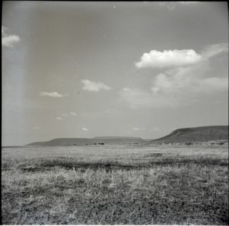 Serengheti plains and very distant animals