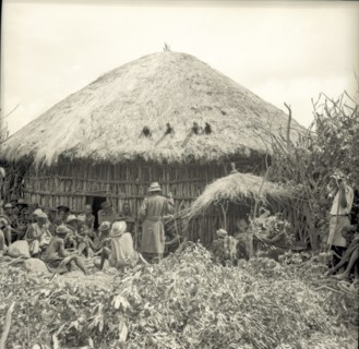 Small house