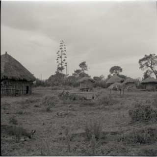 Small house of ancestors