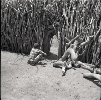 The food of the ancestors