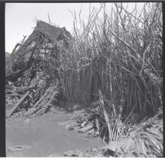 The old compound