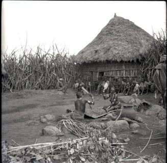 Women beating finger-millet