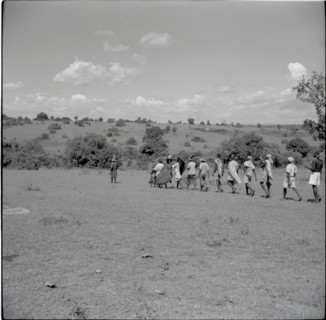 Youths going for firewood