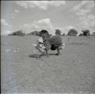 Youths in combat