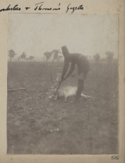Uniformed servant with dead Thomson's gazelle