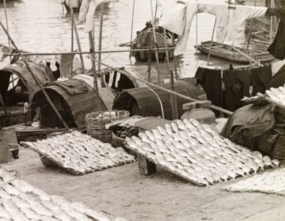 A fisherman's catch at Macau