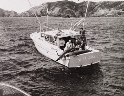 Catching a Striped Marlin, Bay of Islands, New Zealand