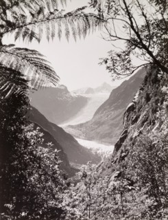 Fox Glacier, Westland