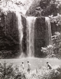 Whangarei Falls, Northland
