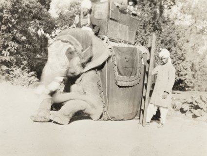 Elephant with passengers