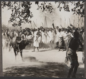 Preparation for a bull fight
