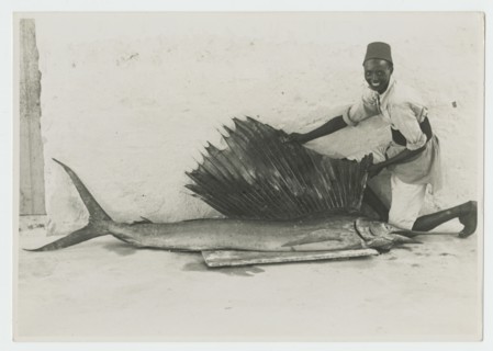 Somali man with large sailfish