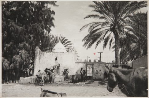 Street scene with donkeys