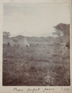 Safari campfire and tents