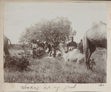 Police troops with camels