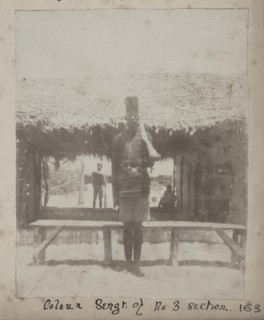 Colour Sergt. Of No 3 Section
