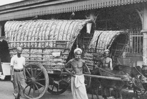 Two covered carts