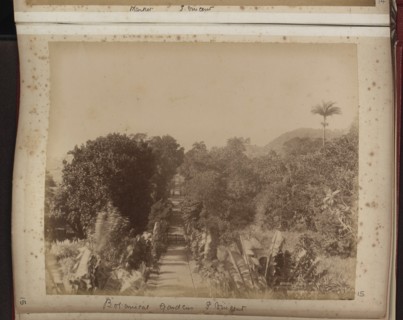 Botanical Gardens, St Vincent